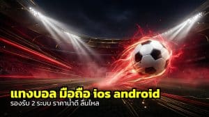 แทงบอล มือถือ ios android